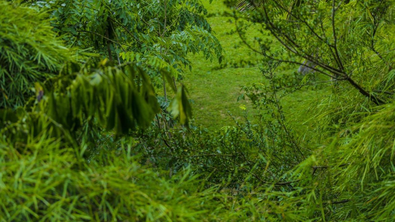 Silver Crown Nature Resort Kombichankulama Екстер'єр фото